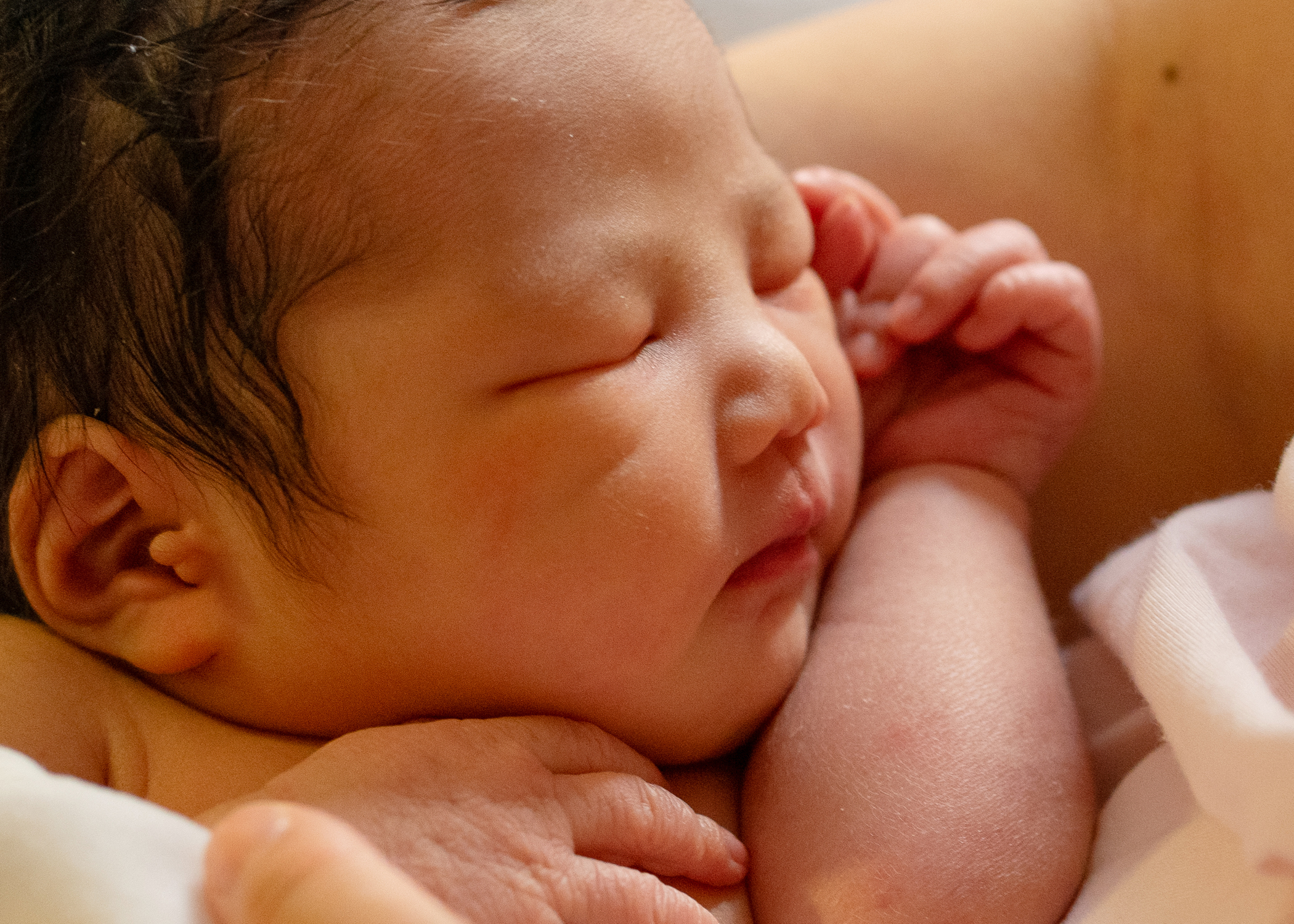 Rochester Photography fiona 6