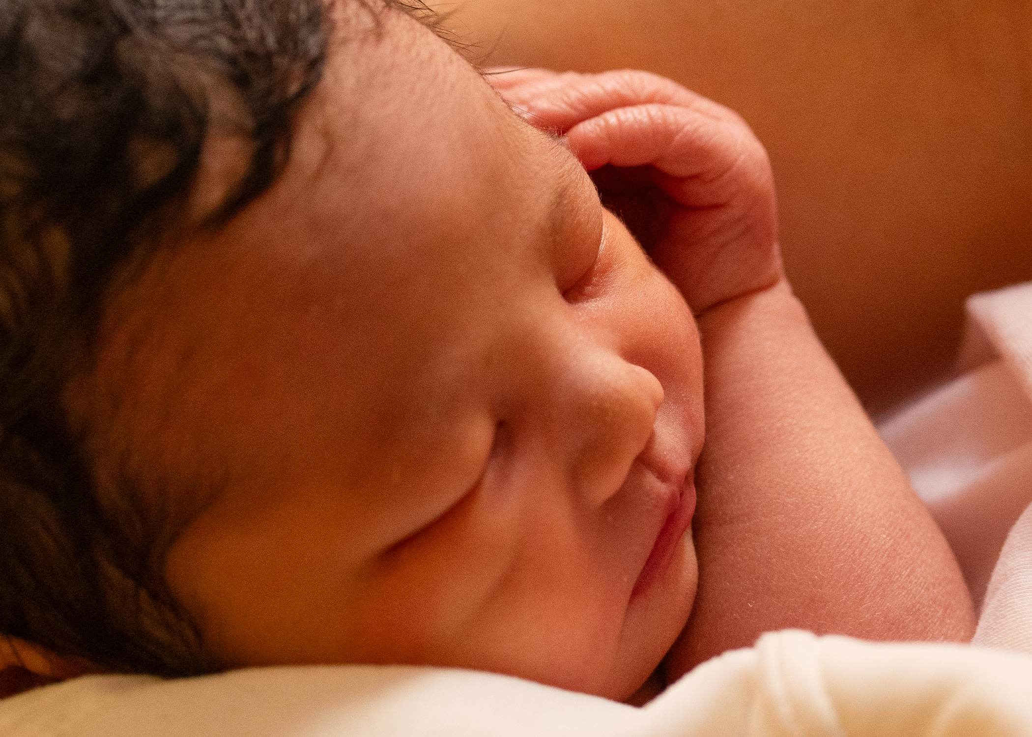 Rochester Photography fiona 7