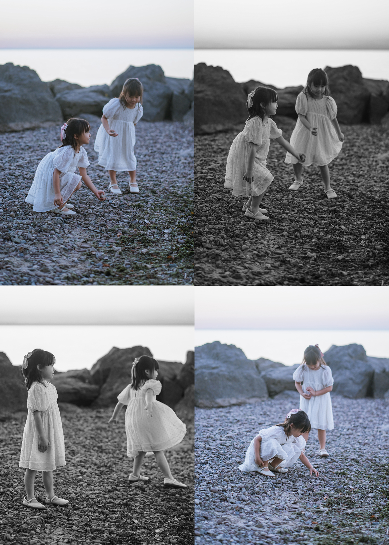 Rochester Photography lobster 15