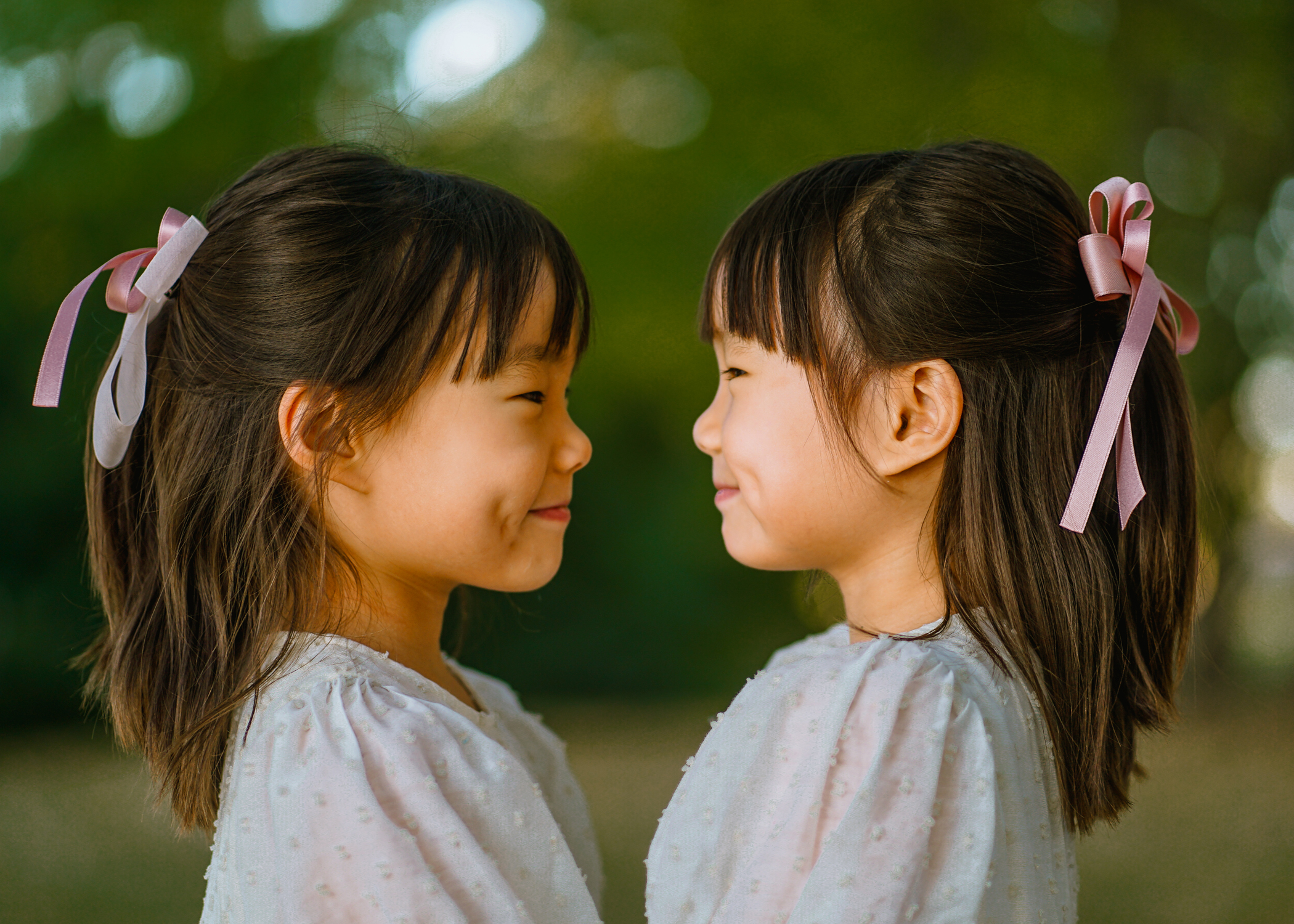 Rochester Photography lobster 16