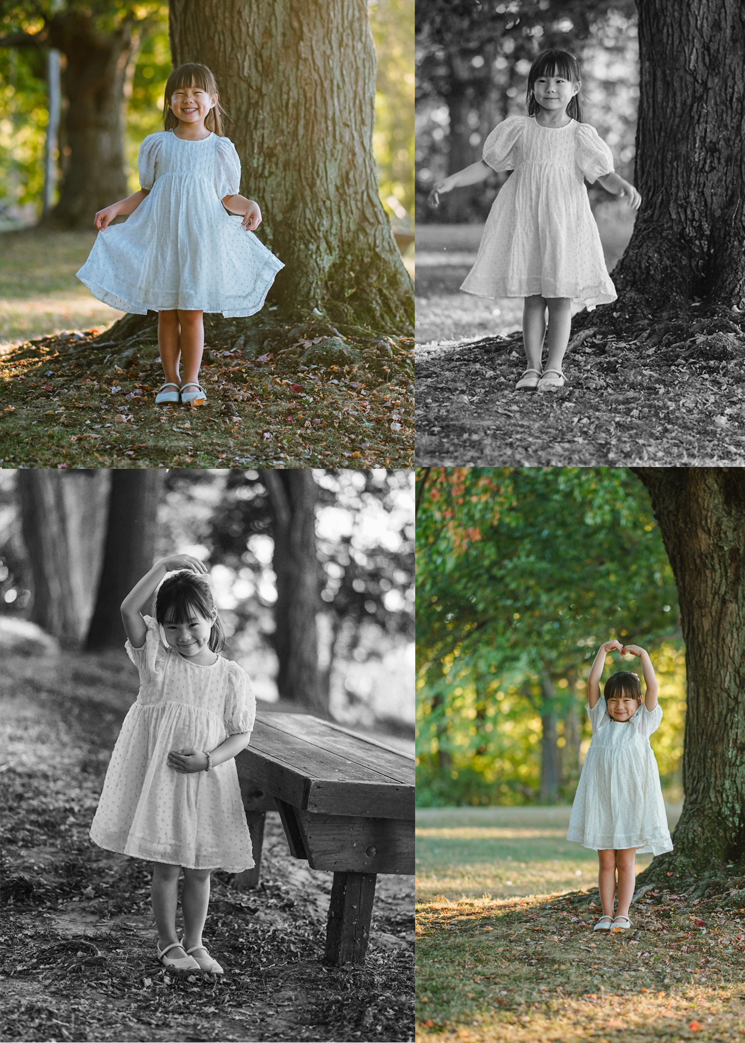 Rochester Photography lobster 3