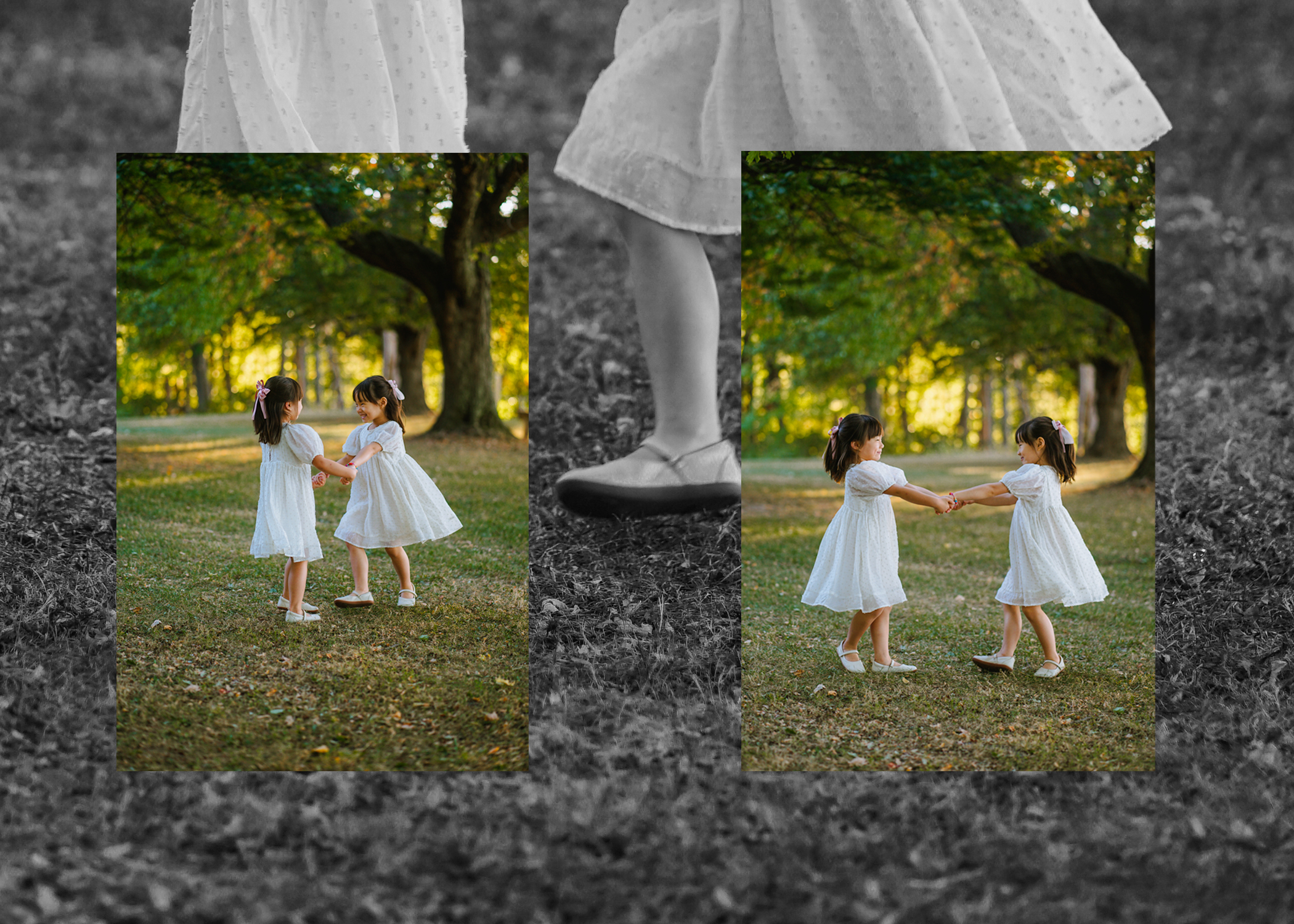 Rochester Photography lobster 9 1